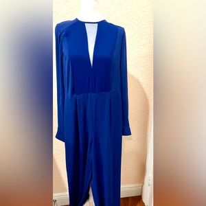 Gorgeous BCBG Maxazria Jumpsuit😍